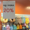멍냥멍냥 미용실 | 부산핫플 반려동물 용품 및 공간 모여있는 수영역 펫스테이션