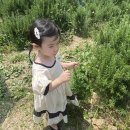 은광 흑염소 | 내 사랑 하윤이랑 데이트하던 날 / 토이즈피아에서 동물 먹이 주기 체험 하기 / 목포 아기랑 가볼만 한 곳