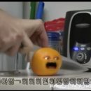 울진장날 네이버블로그