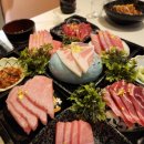 일도참치