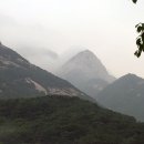 소귀골 티스토리