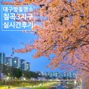 팔거역(지상철3호선) | 대구 칠곡 벚꽃놀이 야경 명소 주차 꿀팁 후기