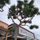 수목농장 이미지