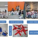 한국체대 리더스태권도장 이미지