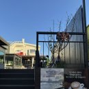 영도의 자연과 함께 일상에서의 ’탈피’ | 영도카페 리스보아, 바다뷰를 제대로 즐길 수 있는 요즘 핫플