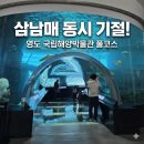 연극 <아이스울프>(공연취소) | 부산 아이와 가볼만한곳 영도 국립해양박물관 무료 아쿠아리움 주차 꿀팁