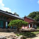 신탄로 네이버블로그