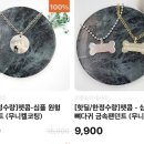(주)펫콤 | [펫피 서포터즈|강아지산책 일기] 2월도 신나게 산책, 펫피포인트로 쇼핑해요