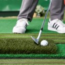 핀스크린골프 이미지