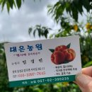 대은농장 이미지