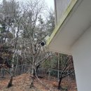 반여중학교 이미지