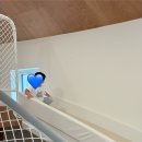 하몽하몽키즈풀빌라 이미지