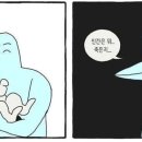 단비주