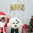 윈썸그루밍 이미지