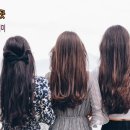 마로헤어 네이버블로그