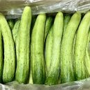 빛들농장 이미지