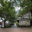 메리퀸양모전문브랜드 | 용산 아크로세탁소 오래된 샤넬 운동화 세탁 후기 서울 용산 명품세탁 명품 신발 세탁 추천