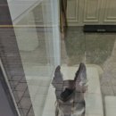 프리티멍 이미지