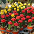 대흥동 주민센터 이미지