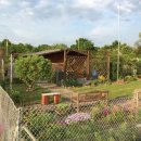 선인수농장 이미지