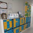 서울아미치과교정과치과의원 | 인천송도초등학생교정치과 서울아미교정치과 강력추천