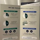 365창원다나은마취통증의학과의원 | 창원 가다실9 저렴한곳 자궁경부암 백신 가격 정부지원 팁