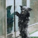 장날국밥 이미지