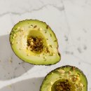 필수 티스토리