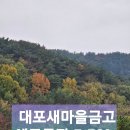 대포새마을금고 이미지