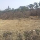 김계환농장 이미지