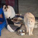 교동슈퍼마켓 이미지