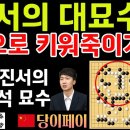 신진서의 대묘수! 4점으로 키워 죽이기~ 당이페이 꼼짝 못하네 [신진서 9단 VS 당이페이 9단 한중슈퍼매치 하이라이트 2023-09- 이미지