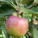 문수산 펜션 이미지