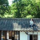 리틀포레스트 이미지