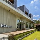 자몽호스텔 이미지