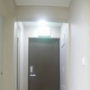 제니스17차 이미지