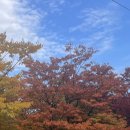 씨유 용산우방2차점 | 11월 일상(공릉카페, 덕수궁 데이트, 가을 서촌, 용인데이트, 강릉여행, 용산맛집)