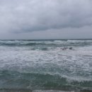 영덕 고래불 국민야영장 이미지