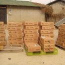 여주-0107 이미지