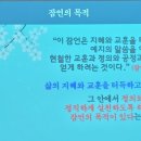 23년 5월 21일 신내동 성당 성모님 이미지