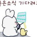 영어도시공인중개사사무소 이미지