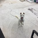 웅이민박 이미지