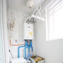본원초 이미지