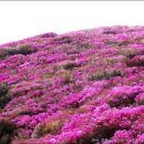 한일아파트(여) 이미지