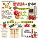 다이어트클럽 이미지