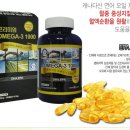 MD무역 Daum카페