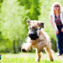 최강영어 이미지