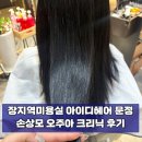 금장지 | 장지역 미용실 아이디헤어 문정점 클리닉 후기, 문정동미용실 손상모 케어 제대로