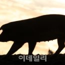 돈다산농장 이미지