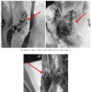 지 동물병원 이미지